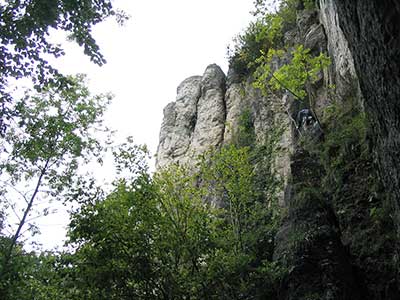 Treusteiner Weg