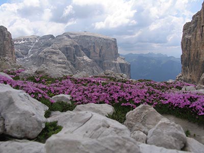 Ausblick auf den Sellastock