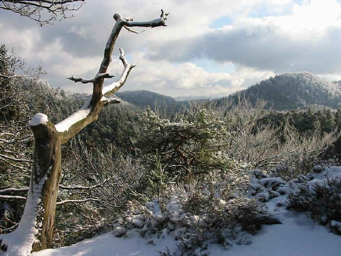 Blick vom Arnstein