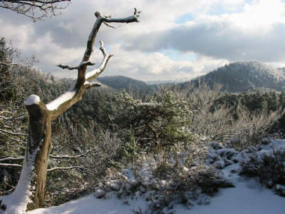 Das Elbsandsteingebierge