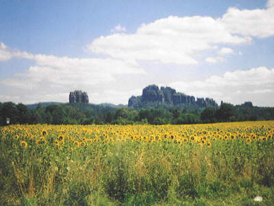 Das Elbsandsteingebierge